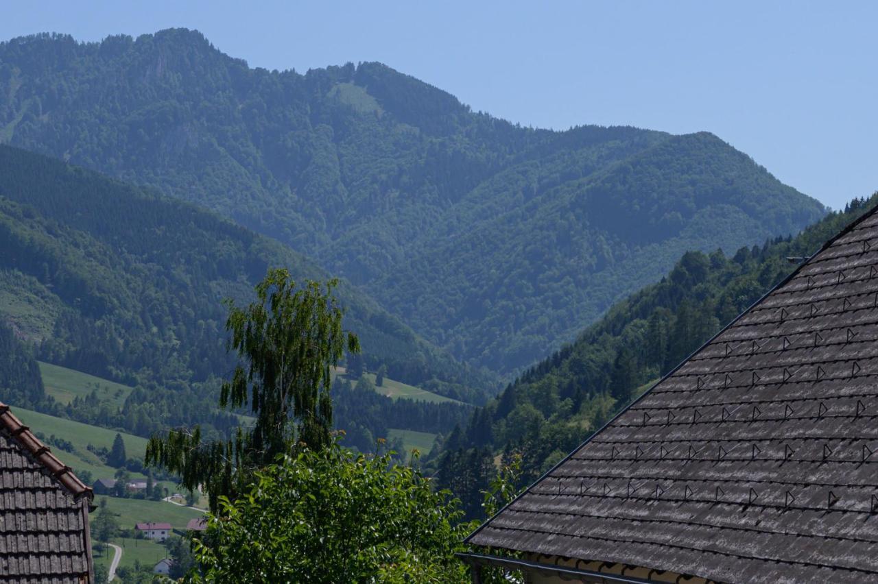 Landgasthof Kirchenwirt Grossraming Экстерьер фото